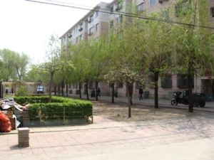 金园东区 2室1厅 南 北