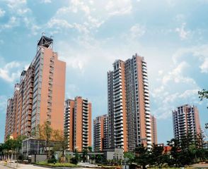 阳光绿洲 2室1厅 南