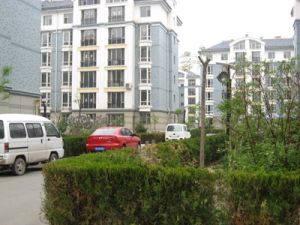 华厦小区,低楼层,采光好,位置优越