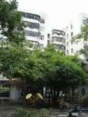 阁楼,实用空间大近汽轮机厂地铁口生活配套齐全