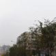 龙之港大厦(人和街)实景图