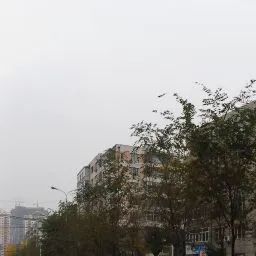 龙之港大厦(人和街)实景图