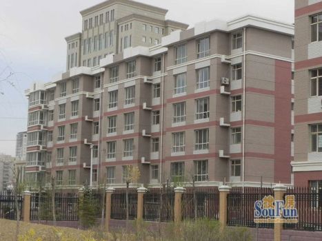 �����¡��