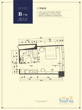 广安壹号户型图