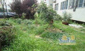 房主急售 多层二楼 三居室 带装修 有证出税