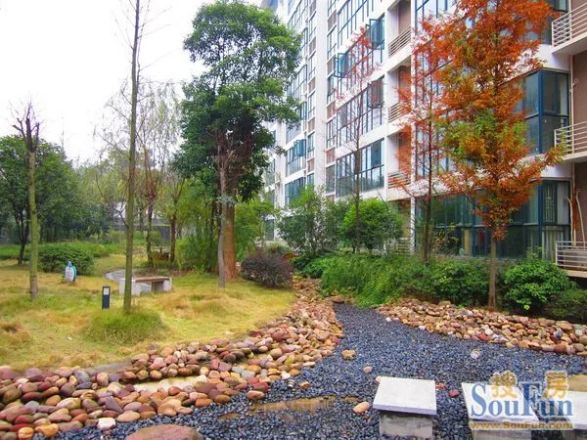 华电湘苑实景图