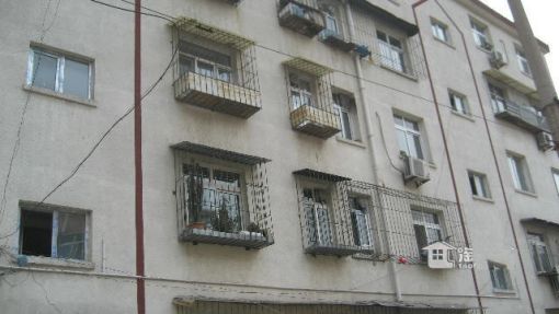  ���⡤����¥ 3��1�� ��/�� 