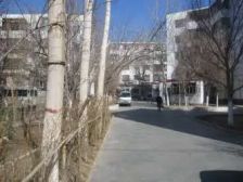 步行500米交通学院多条公交路线太平公园