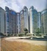 六带七 南北通透 满五不唯一 采光好通风好 可贷款