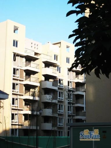  ����15�Žַ�3��1���ϳ���1000.00Ԫ/�³��� 