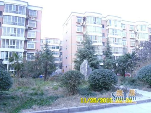  ��Է·29�Žַ�2��1��1���ϱ�����1000.00Ԫ/�³��� 