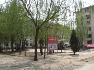 金桥中油呼炼小区中间楼层户型好光线充足。