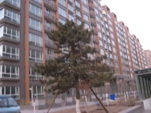 巨华小区2室1厅南