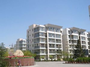 金桥佳园 视野开阔 交通便利 出行方便