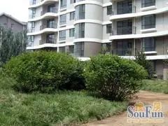 大学东街 国际蒙医院 小高层 国标两居