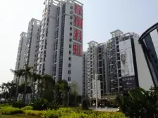 棕榈彩虹 3室2厅 南