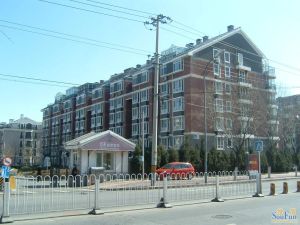 您没有找到办公室是因为没有看到这个