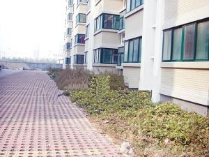 兆祥小区多层简单装修带着储藏室价格便宜
