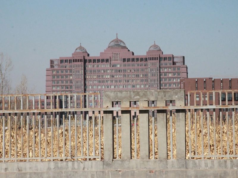 �Ŷ�����,��̩��,��ɭϲ�ù㳡,��ʢ����