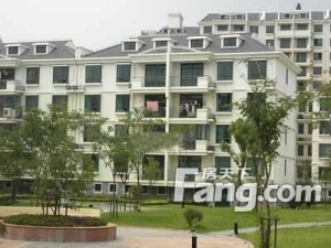 世纪新城多层1楼带地上大车库,仅售39.9万
