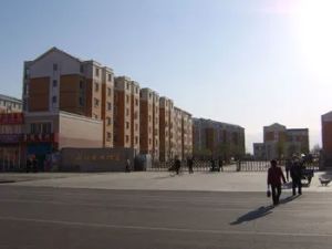 石羊桥 俪城 丽日花园 阳光楼层 3居室 拎包入住房