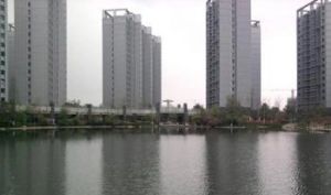 天鹅小区 2室2厅 南 北