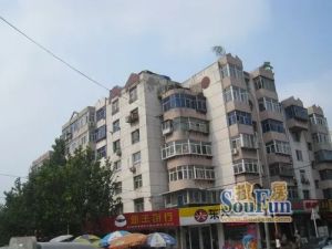涧西区委家属院(安徽路)2室1厅南北
