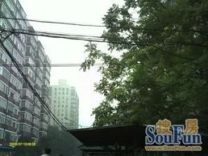 创业公寓 满五 小区安 采光好 无遮挡 价格可议