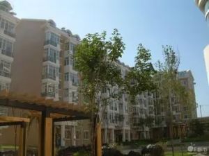 农大商圈 南门外 学府花园旁 阳光三居室 房屋出售