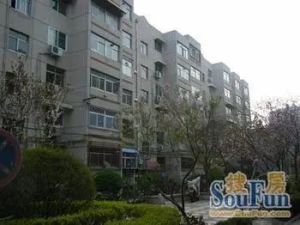 巧报信用社家属楼 2室1厅 东 西