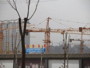 巨华和谐园电梯房 中楼层 精装修 满二 拎包入住