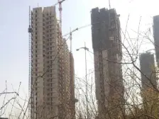 金河名都 1室1厅 西南 西