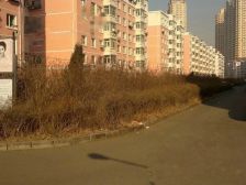 量具高层 2室1厅 南 北