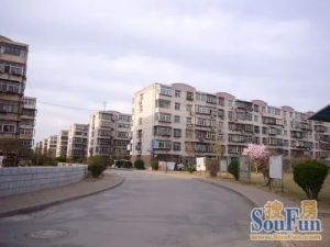 南北通户型,两室老本看房方便简单装修拎包入住