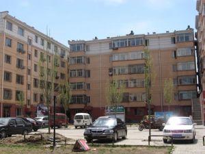 嘉茂 电力片内 防疫站小区 有房本 可按揭 地铁2号线