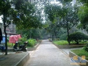中南三村单位房,保养好。采光通透,住家成本不高