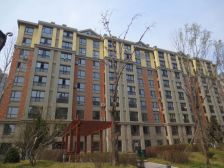 此房精装修满5唯一精装修视野嘎嘎好采光无遮挡