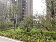 满五 全明户型 两室朝阳 采光好 庭院式小区 看房方便