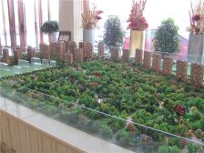 锦尚国际 3室2厅 南