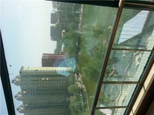 恒大华府好楼层视野好,绿化好停车方便,无大税