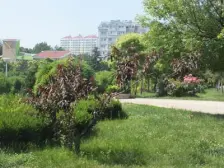 惠安小区D区 1室1厅 南 北