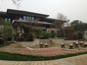 两层联排边户小面积带地下室新社区大露台有院子