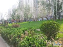 中铁逸都2室1厅南