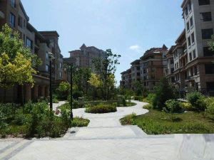 东岸国际二期 一楼带下跃 精装带车位 房本满二