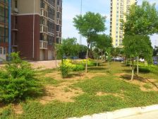 山水名园 2室1厅 南 北