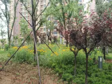 满2年无大税,楼层好,视野好。