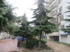 长虹小区2室2厅南