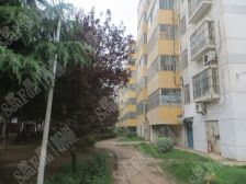 长虹小区 3室1厅 南