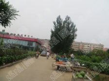 崇文名都 3室2厅 南