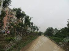 崇文名都3室2厅南